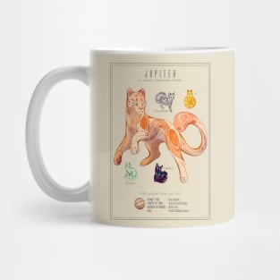 Jupiter & Moons Mug